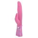 Rabbit vibrator Delight